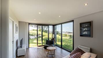 Télévision, cheminée, livres, chaßne hi-fi