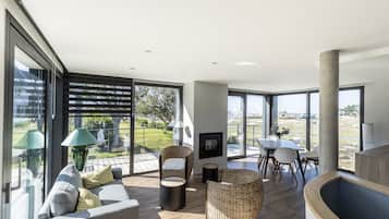 Télévision, cheminée, livres, chaßne hi-fi