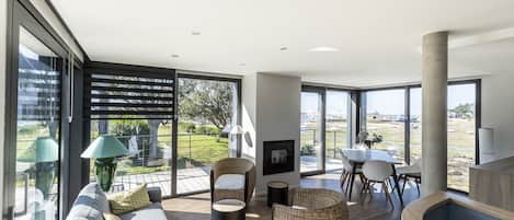 TV, fireplace, books, stereo