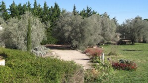 A garden with a gravel path, various shrubs, and trees. - villa, countryside, quiet, spacious (8 persons), secure swimming pool. (Sérignan-Du-Comtat)