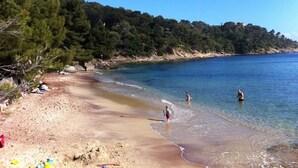 A beach with clear water, people swimming, and a forested hillside.