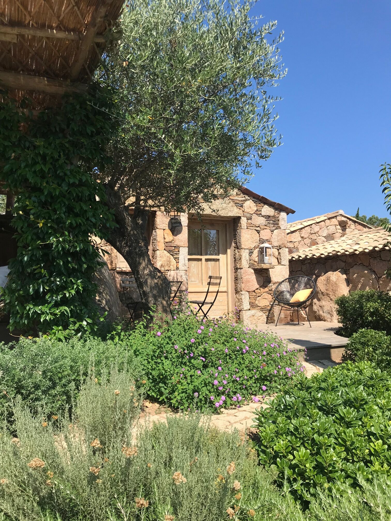 A stone house with a wooden door, surrounded by lush greenery and flowering plants.