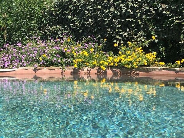 Infinity-Pool, beheizter Pool