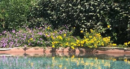 3 min de Palombaggia, Magnifique bergerie Corse avec piscine et jardin privés