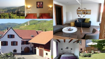 Image of 4*charm near Colmar, Kaysersberg,Eguisheim,garden,closed parking, ski resort 40 mn