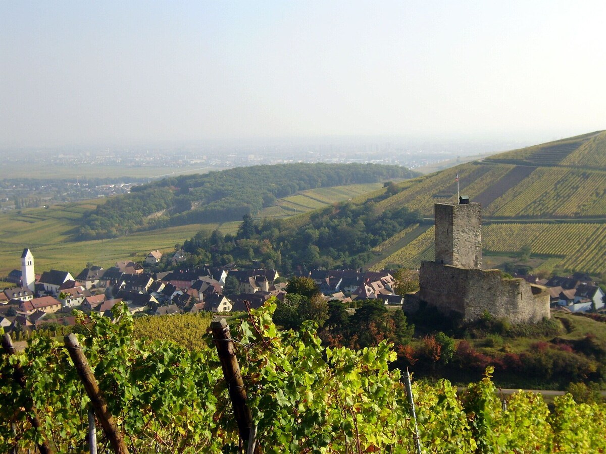 Image de profil de l’hôte