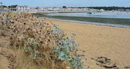 COMFORTABLE HOUSE WITH SEA VIEW on the bay of Rivedoux