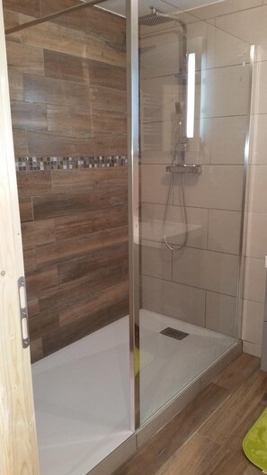 Shower, hair dryer, toilet paper - quiet apartment at the col des feignes, panoramic view of the station honneck (La Bresse)