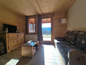 TV, DVD player - quiet apartment at the col des feignes, panoramic view of the station honneck (La Bresse)