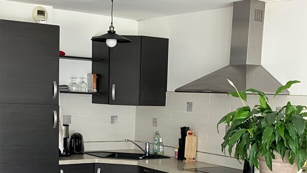 A modern kitchen with dark cabinetry, a stainless steel range hood, a built-in dishwasher, and a potted plant. - Apartment T3 in Larmor beach 5 minutes walk from the beaches (Larmor-Plage)