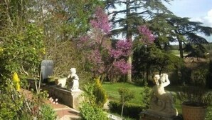 Ein Garten mit Statuen und einer Vielzahl von Pflanzen.