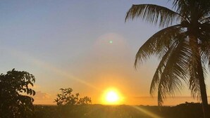 A sunset with a palm tree and silhouettes of vegetation. - GLIGLI FOR LOVERS (Sainte-Anne)