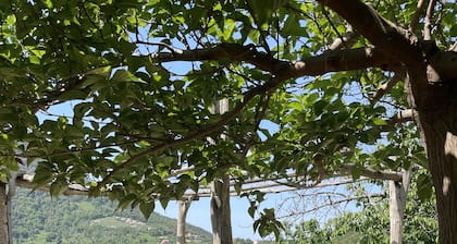 rent traditional Corsican stone house