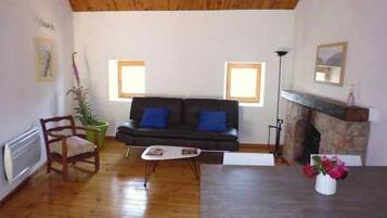 Una televisión de pantalla plana, una chimenea, un reproductor de DVD