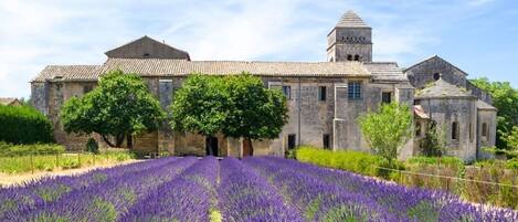A historic stone building with a large central tower, surrounded by a lavender field.