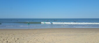 歩行者天国の松林の中心部にある静かな家。 近くのビーチ