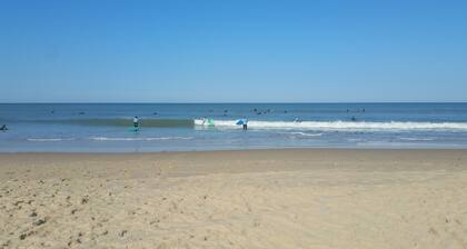 rauhallinen talo mäntymetsän sydämessä jalankulkualueella. Lähellä rantoja