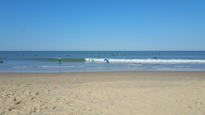 quiet house in the heart of the pine forest in pedestrian area. Near beaches