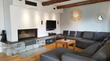 Una televisión, una chimenea, un reproductor de DVD, libros