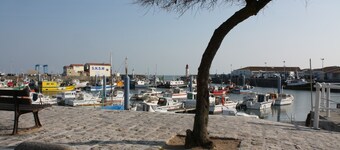 Cotinière - Nice Studio ranked 3 STARS - 200 m from the sea -700 m Port 