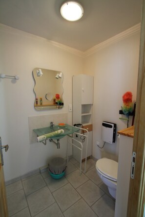 Shower, hair dryer