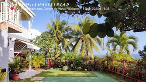 A lush garden with palm trees and a variety of plants, a red fence, and a building with a balcony. - CHEZ LUKETO VIEUX -HABITANTS  (Vieux Habitants)