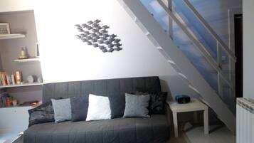 Télévision, lecteur de DVD, livres, chaßne hi-fi