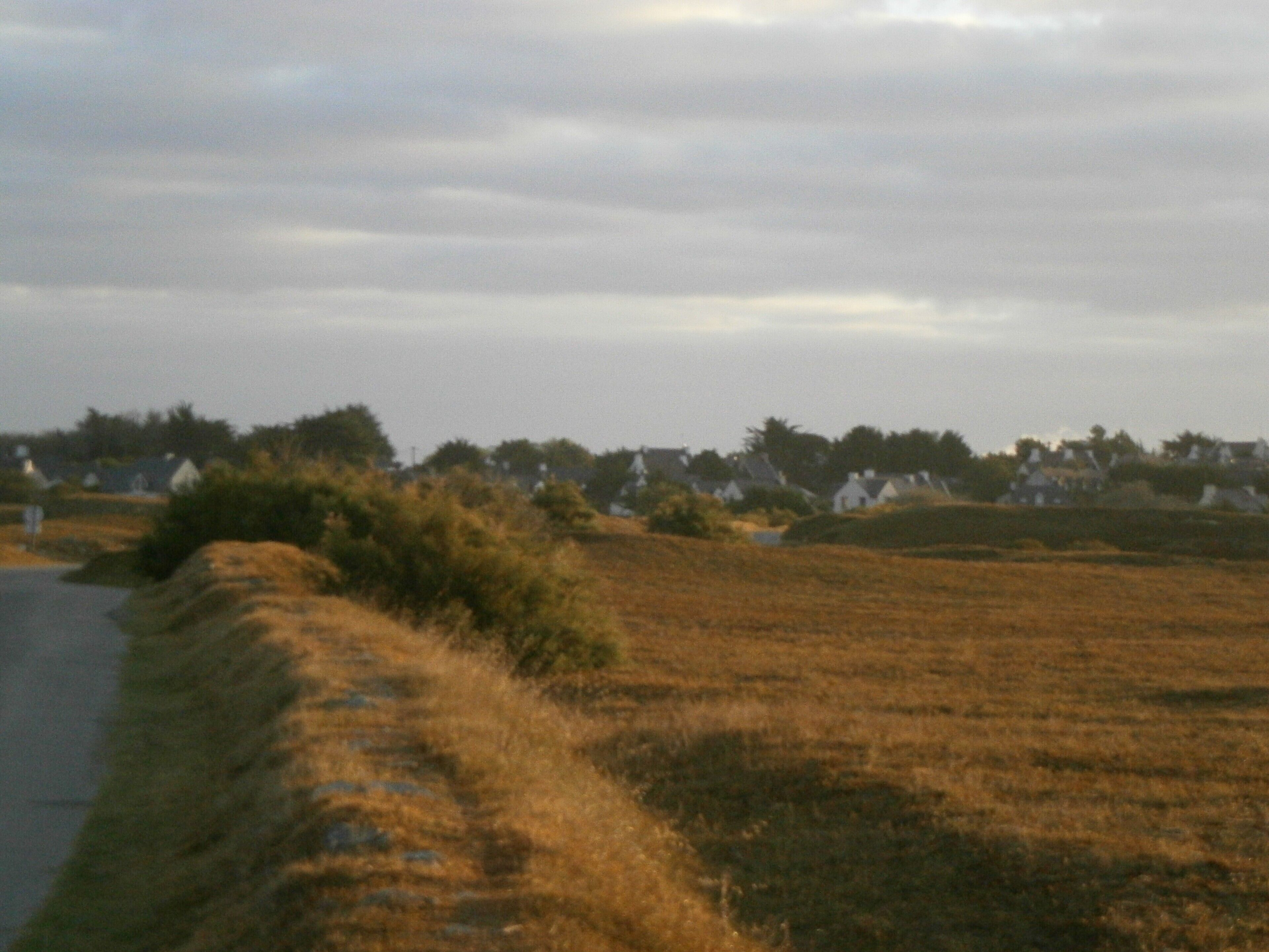 Ländliche Landschaft mit einer sich durch ein Feld schlängelnden Straße, die zu einer Häusergruppe führt.
