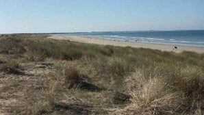 Una playa con arena y césped, y el océano al fondo.