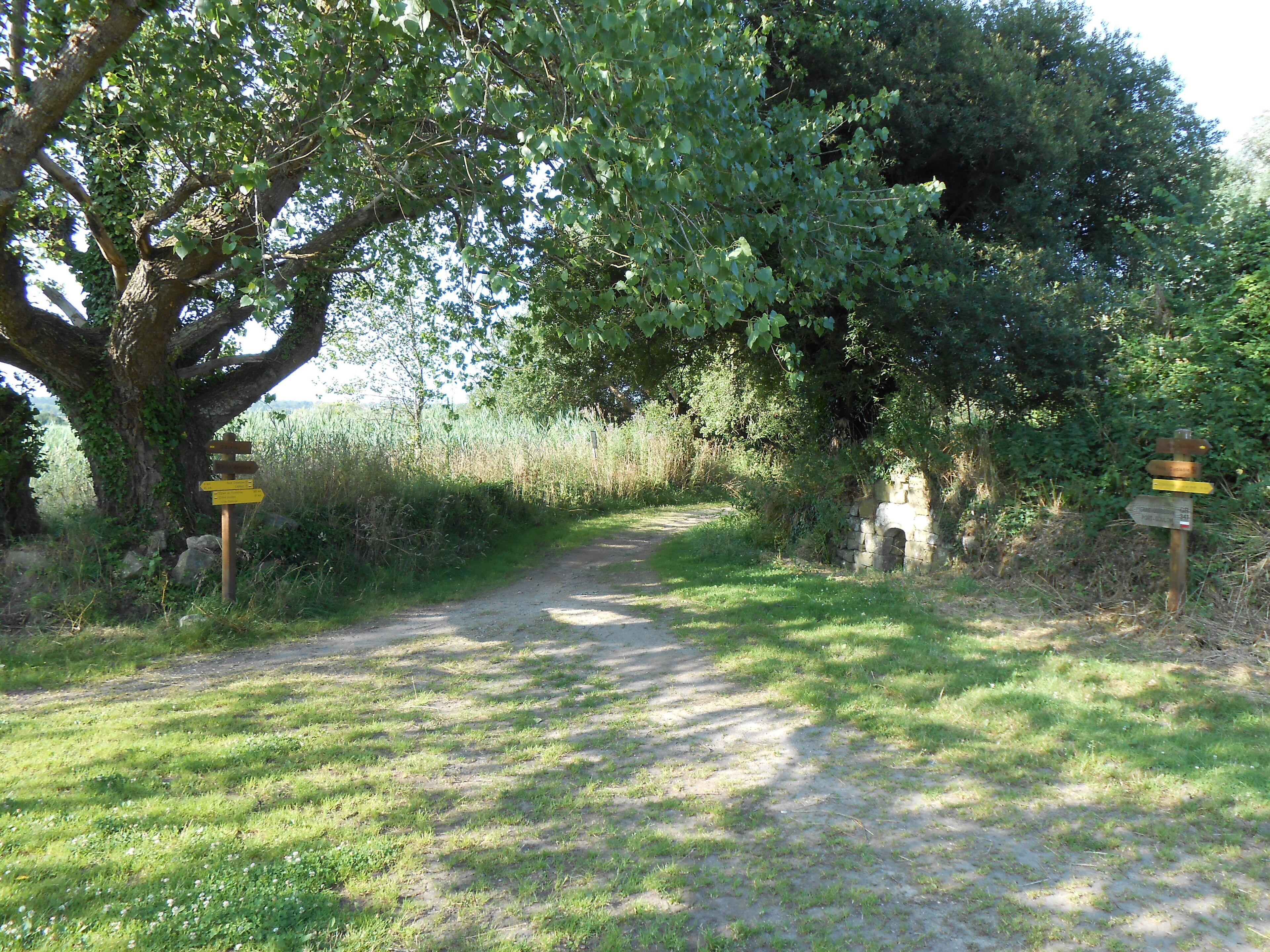 A dirt path leading through a wooded area with a stone archway and directional signs.