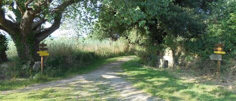 A dirt path leading through a wooded area with a stone archway and directional signs.