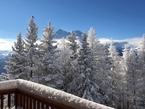Property grounds - South-facing apt at the foot of the ski run. View of Tarentaise valley (Montvalezan)
