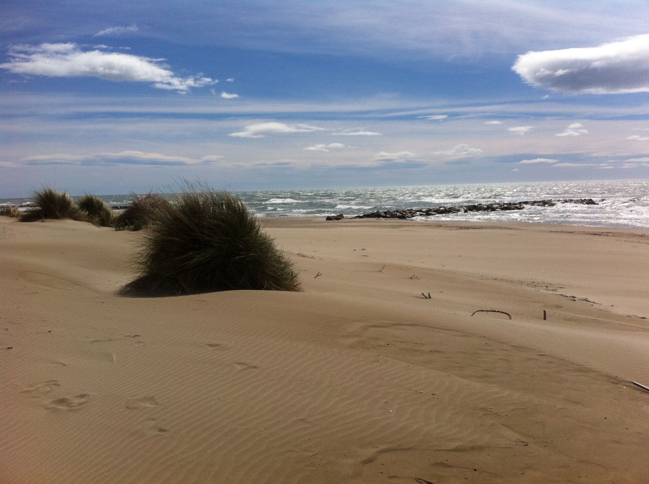 LA PLAGE SAUVAGE DE L'ESPIGUETTE