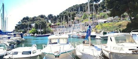 Marina