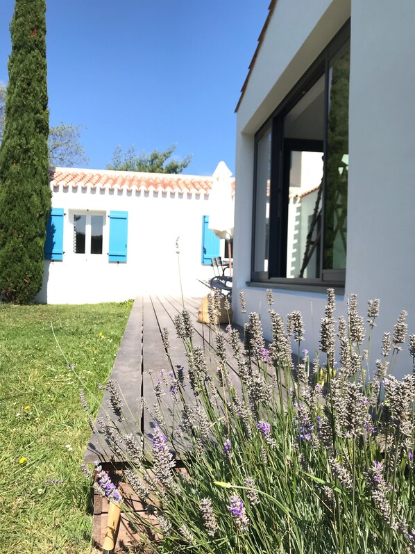 Una casa moderna con terraza de madera, plantas de lavanda y un edificio blanco con contraventanas azules al fondo.