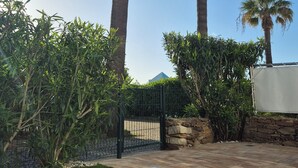 Zona exterior paisatjística amb palmeres, una paret de pedra i un pati pavimentat.