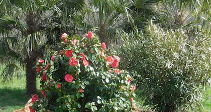 THUEYTS house located in a large plot with oleanders and palm trees