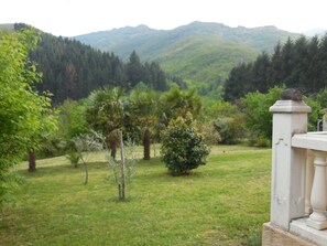 Área da propriedade