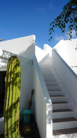 Terrain de l’hébergement 