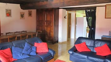 Télévision, cheminée, lecteur de DVD, livres