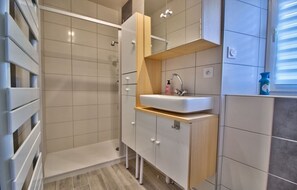 Shower, hair dryer - Gite with spa, large 12-bed winter/summer house (Molain)
