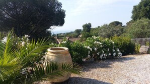 Jardí amb una test gran, camí de grava i diferents plantes.