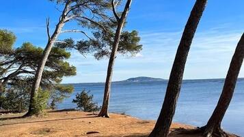 Plage à proximité