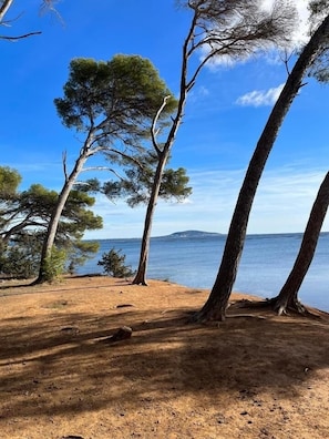 Un paysage naturel composĂ© dâarbres et dâune Ă©tendue dâeau.