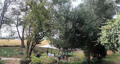 Gite au coeur de la gascogne,site historique du chateau de lamothe bezat