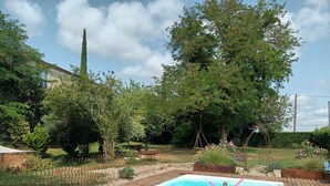 Une piscine rectangulaire entourée d’une terrasse en bois, située dans un jardin avec des arbres et une clôture.