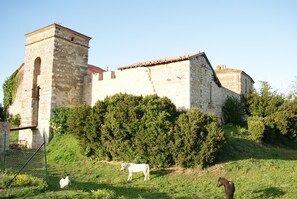 Exterior - Cottage in the heart of Gascony, historic site of the Chateau de Lamothe Bezat (Boé)
