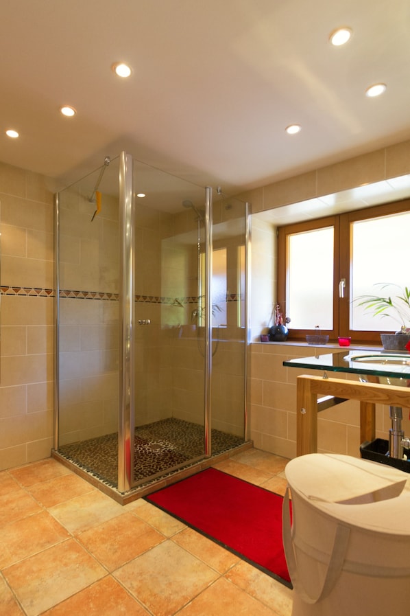 Shower, hair dryer, towels, soap