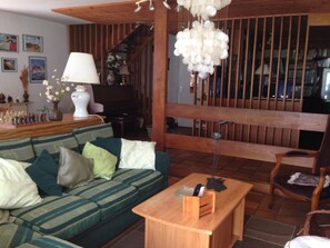 Televisión, chimenea, reproductor de DVD, libros