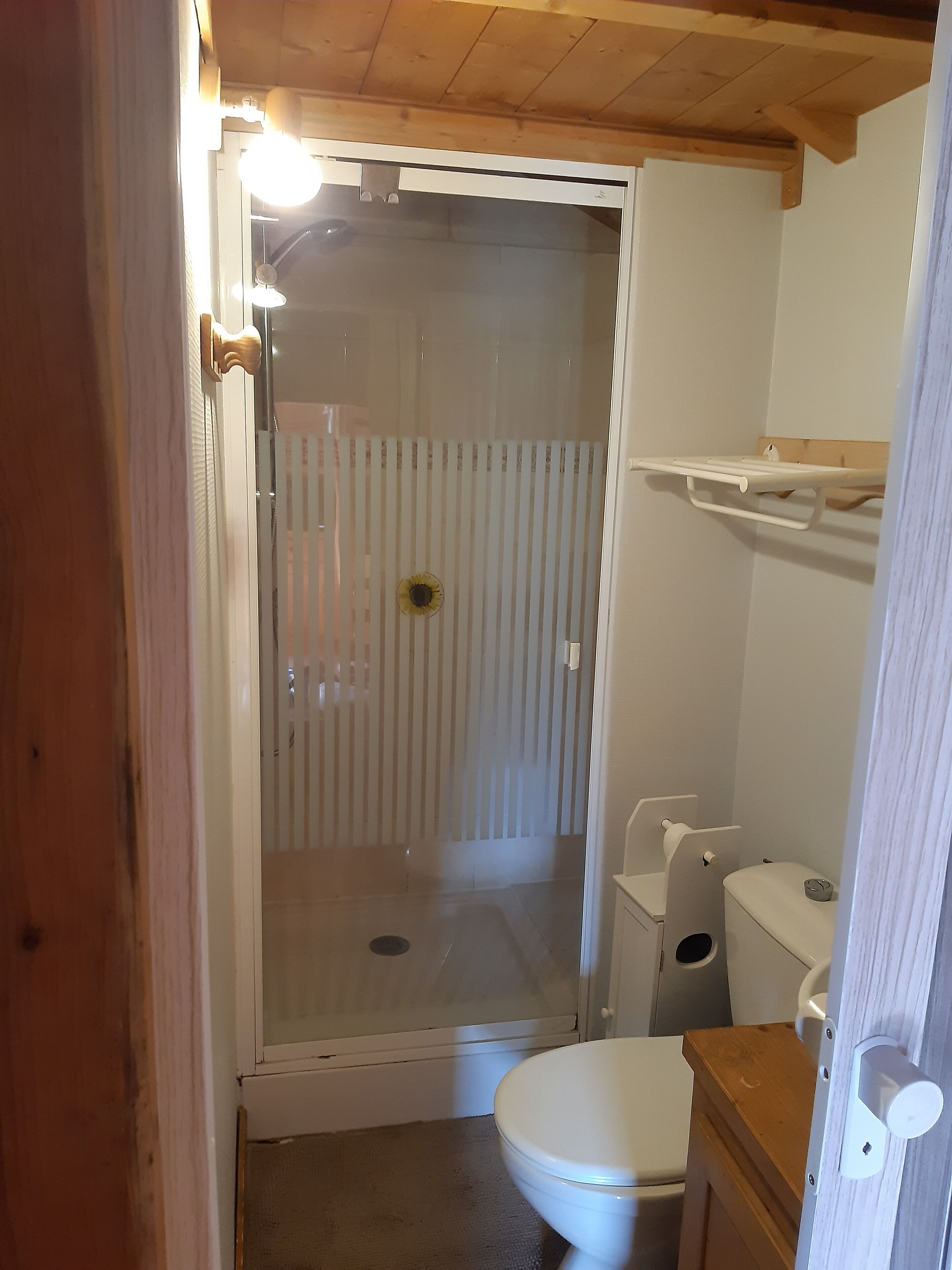 Regadera y papel de baño 